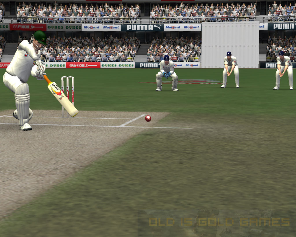 Cricket 07 Setup Free Download