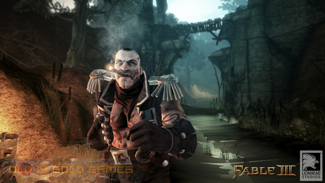 Fable III Features