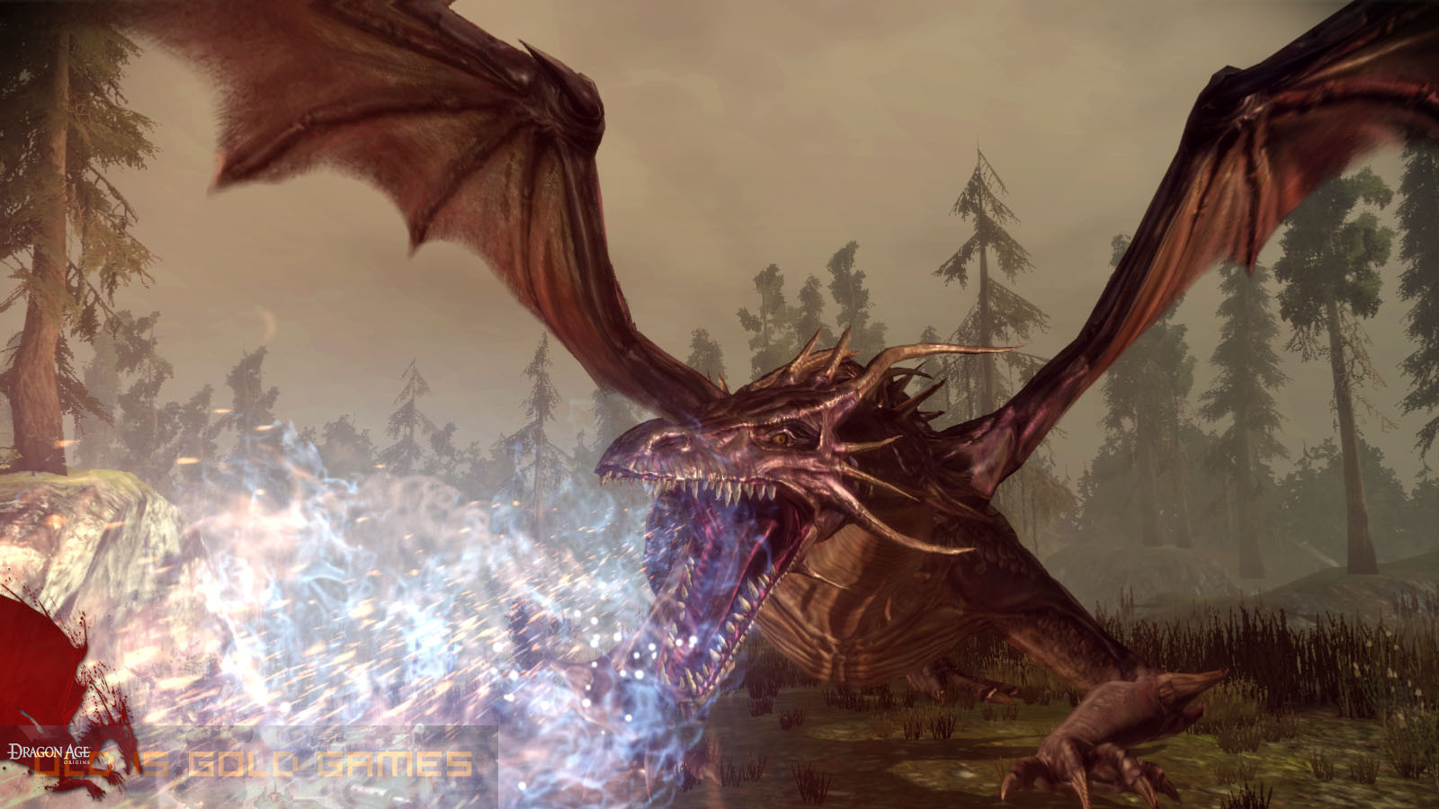 Dragon Age Origins Setup Free Download