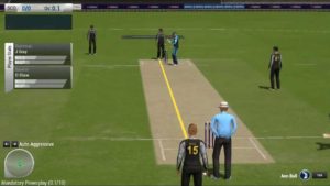 Free Ashes Cricket 2013 Download